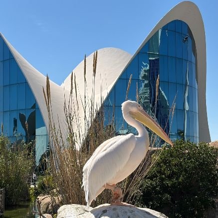 Valencia